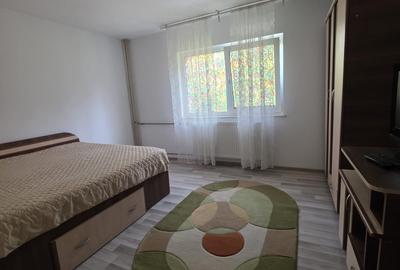 Apartament cu 2 camere semidecomandat, mobilat în Decebal - 13