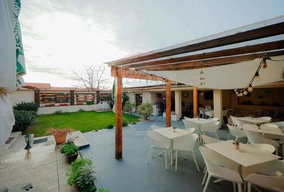 Hotel/Pensiune, de 438 mp, în Nufărul - 58