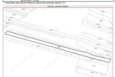 Teren de 11137 mp, în Curtișoara - 1