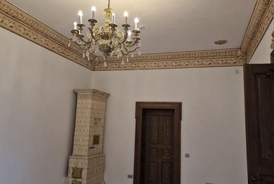 Zona Piata Romana Parcul Icoanei S+P+1 supr utila 700 mp renovata cu stil - 7