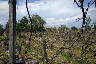 Spațiu comercial, de 1,150 mp, în Lespezi - 2