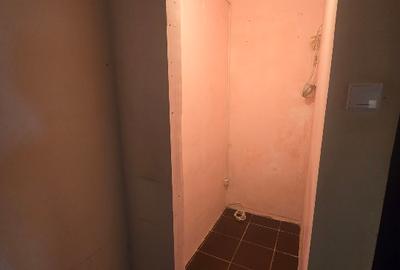 Apartament cu 2 camere decomandat în Giurgiului - 10