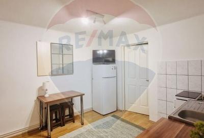 Apartament cu 1 camere de inchiriat in zona Semicentrala - 4