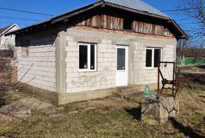 Casă cu 1 camere în Gherteniș - 5