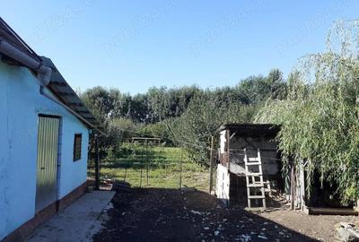 Vind casa la tara - 4