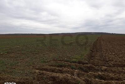 Spațiu comercial, în Sântandrei - 2