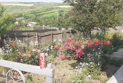 Casă cu Teren 1700 Mp în Galați - 1