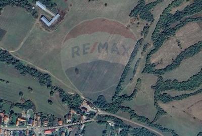 Teren 5.800 mp Purcareni curent, gaz, apa / Strada 30 decembrie - 3