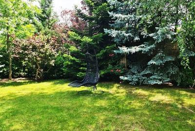 Bucium | locuinta impunatoare | refugiu al linistii si rafinamentului - 22