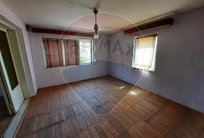 Casa P+1 - JARISTEA - 5