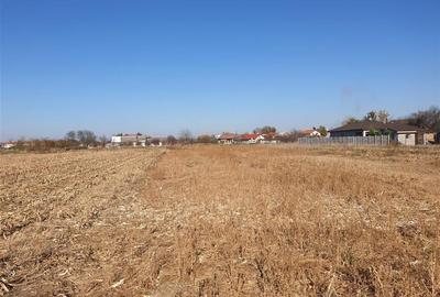 Teren intravilan in Bors cu front la 2 strazi. - 3