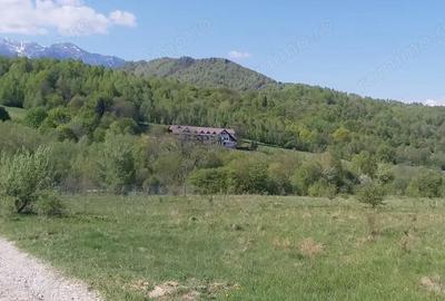 Teren de 1266 mp, în Cheile Râșnoavei - 6