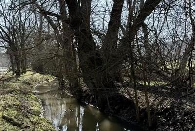 Casă cu 4 camere cu Teren 2000 Mp în Slava Cercheză