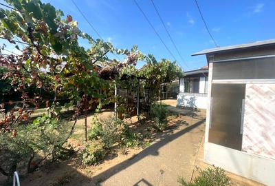 Casa 4 Camere in Paulesti - 2