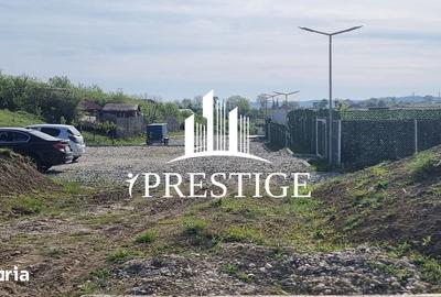 Teren de 2000 mp, în Trei Stejari - 16