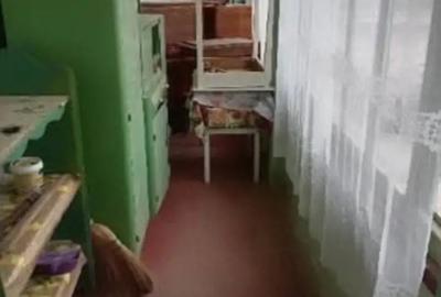 Se vinde sau se schimba cu locuin?a in Arad, casa cu teren mare in Felnac - 3