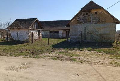 Spațiu comercial, în Târnova - 4