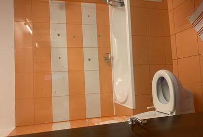 Apartament cu 3 camere decomandat în Prelungirea Ghencea - 11
