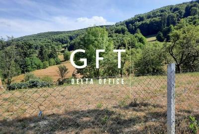 Teren intravila/extravilan, Rebrisoara - 4