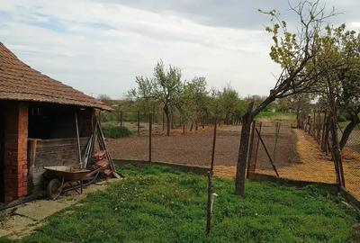 Vand casa Dude?tii vechi - 3