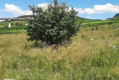 Teren de 3095 mp, în Tureni - 2