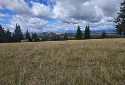 Teren intravilan cu priveliste spectaculoasa - Piatra Fantanele - 2