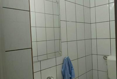 Inchiriere - Apartament 3  Camere - Teiul Doamnei - Posta - Parc Tei - 12