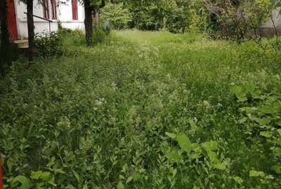 Casă cu 5 camere cu Teren 3800 Mp în Central - 3
