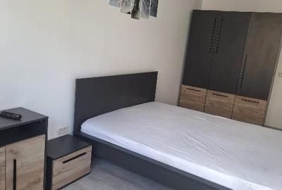 Apartament cu 2 camere decomandat, mobilat în Valea Lupului - 3