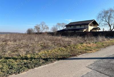 Gradistea -Ilfov, strada Nuferilor, teren intravilan 1000 mp 15m. - 7