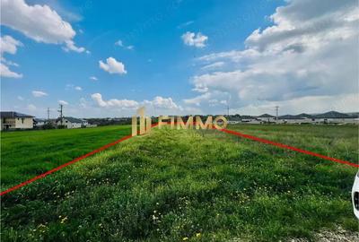 Teren de 6000 mp, în Ipotești