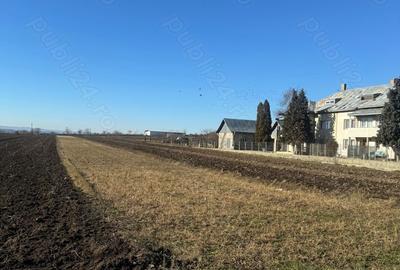 Teren de 2000 mp, în Pătrăuți