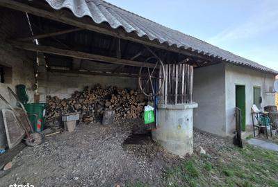 Casă cu 4 camere cu Teren 1887 Mp în Burjuc - 1