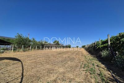 Casa cu teren impresionant in Targu Jiu - 3