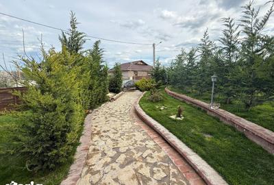 Casă cu 3 camere cu Teren 400 Mp în Vânători - 13