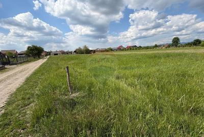 Teren Construcții intravilan de 2597 mp, în Mogoșești - 3