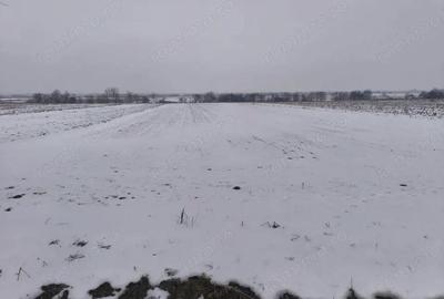 Teren de 6000 mp, în Horodnic - 3