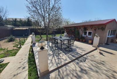 Casa de vacanta | Curte | Teren | Belciugatele | Calarasi - 1