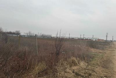 Spațiu comercial, în Mărăcineni - 3