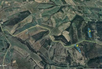 9.29 ha livezi la Lipova Bai - 5