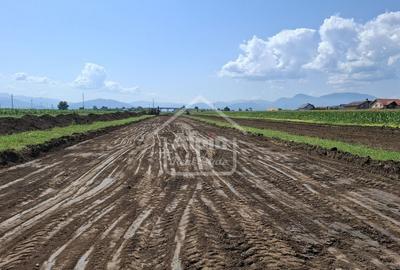 Teren Pretabil Investitie Harman - 9