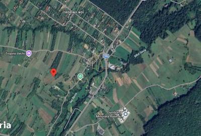 Teren de 6600 mp, în Gura Râului - 3