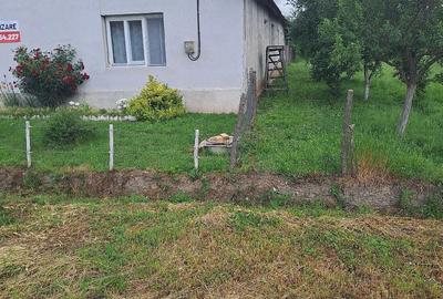 Casă cu 3 camere cu Teren 2877 Mp în Bethausen - 5