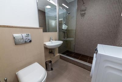 Apartament cu 2 camere decomandat, mobilat în P-ța Alba Iulia - 13