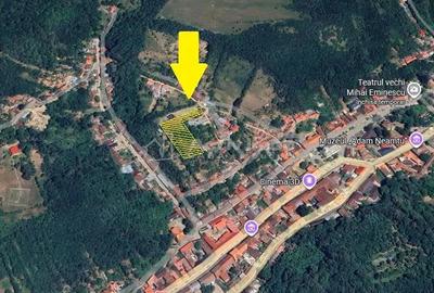 Teren de 2500 mp, în Vest - 19