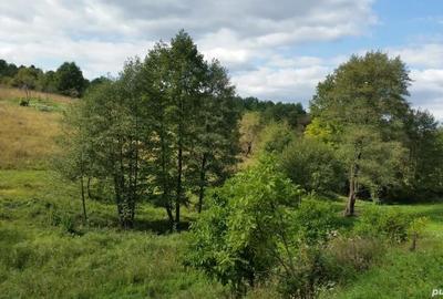 Teren de 8600 mp, în Central - 5