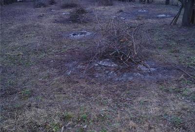 Teren de 1000 mp, în Răcari - 3
