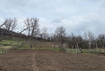 Casă cu 3 camere în Vețca - 6