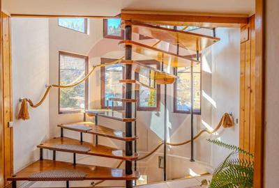 VILA SCANDINAVIA / Pensiune / Moieciu de Sus - 1