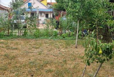 Casa 2 Dormitoare | 278mp Teren | Zona Ronat Casa 2 Dormitoare | 278mp Teren | Zona Ronat - 4